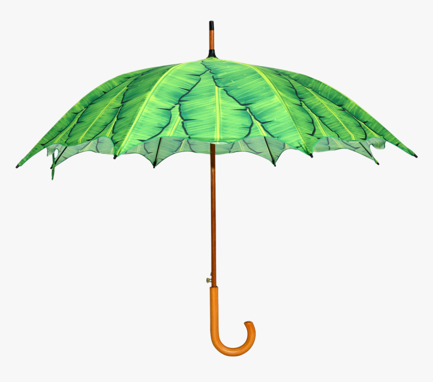 Umbrella Banana Leaves - Umbrella, HD Png Download, Free Download