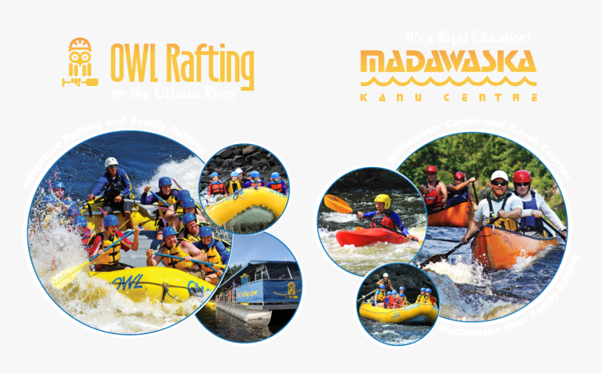 Whitewater Rafting, Kayaking And Canoeing With Owl - White Water Rafting Owl, HD Png Download, Free Download