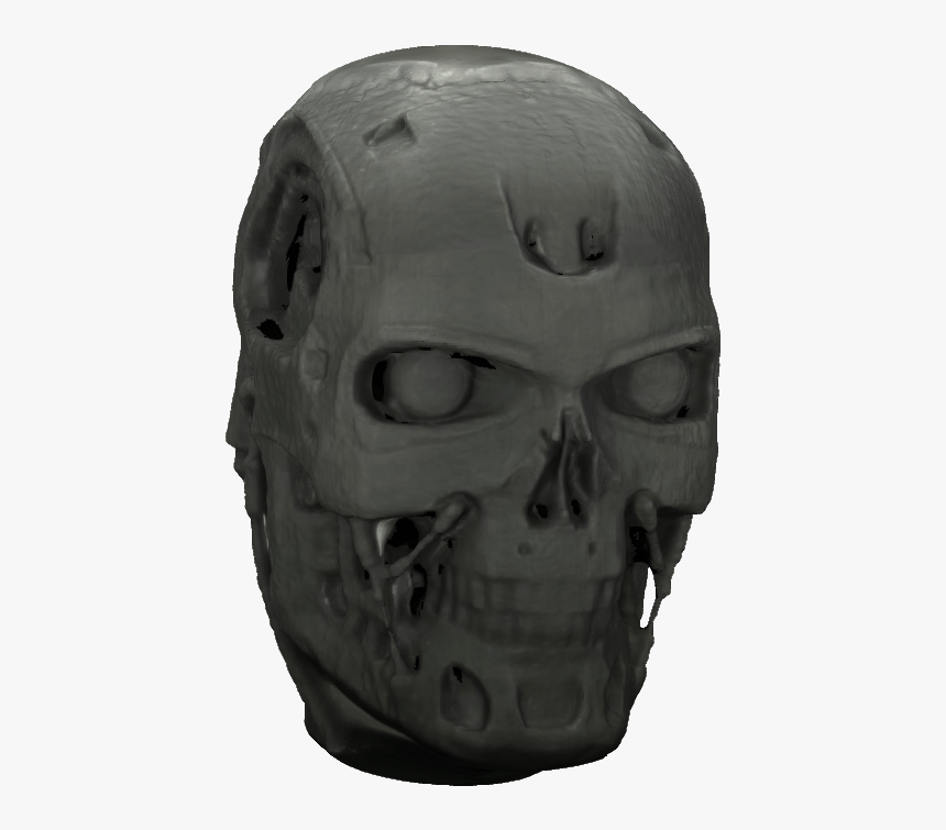 Skull, HD Png Download, Free Download