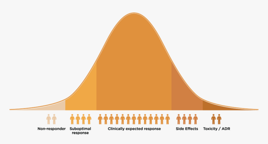 Medical Bell Curve, HD Png Download, Free Download