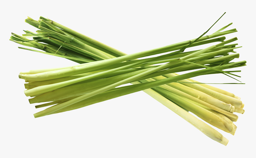 Thumb Image - Cymbopogon Schoenanthus, HD Png Download, Free Download