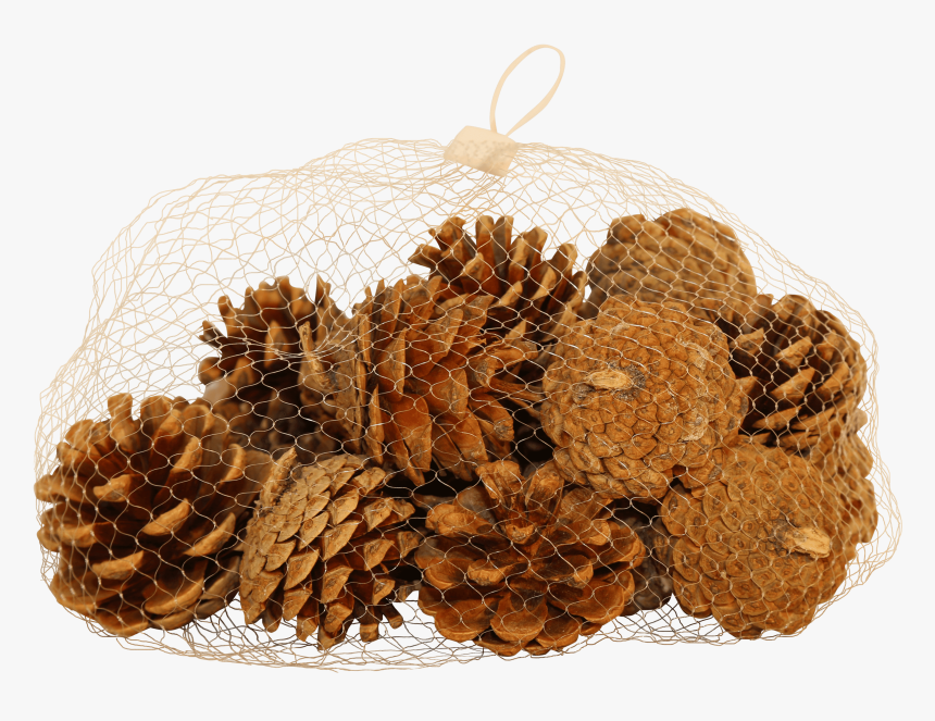 Natural Pine Cones - Fruit, HD Png Download, Free Download