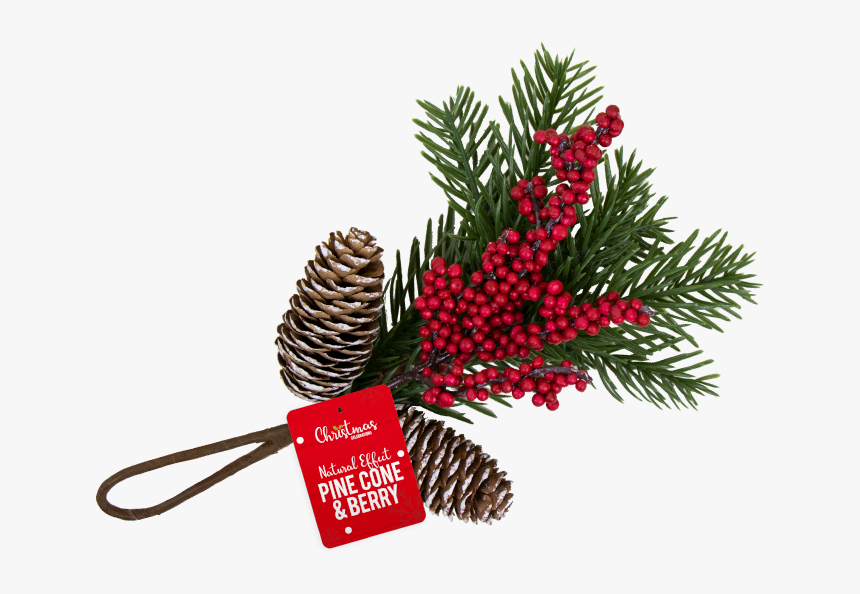 Christmas Pine Cone & Berry Decoration - Illustration, HD Png Download, Free Download