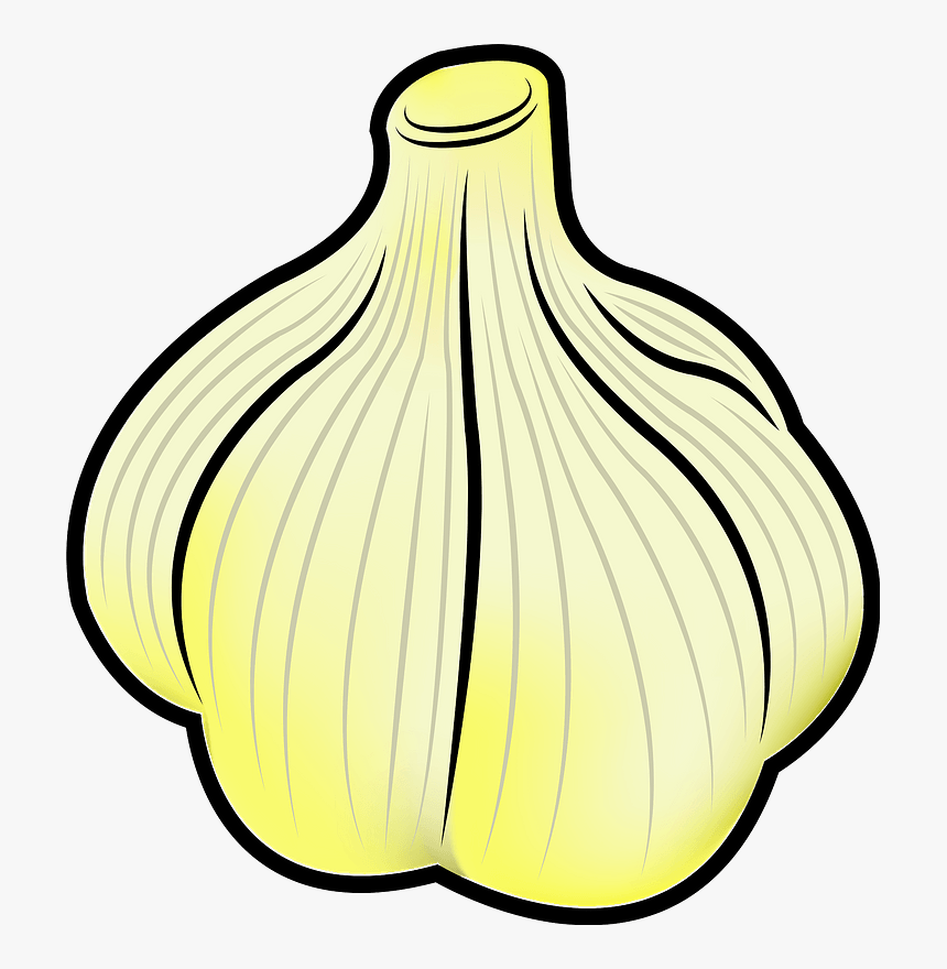 Garlic Spice Clipart - Garlic Clipart, HD Png Download, Free Download