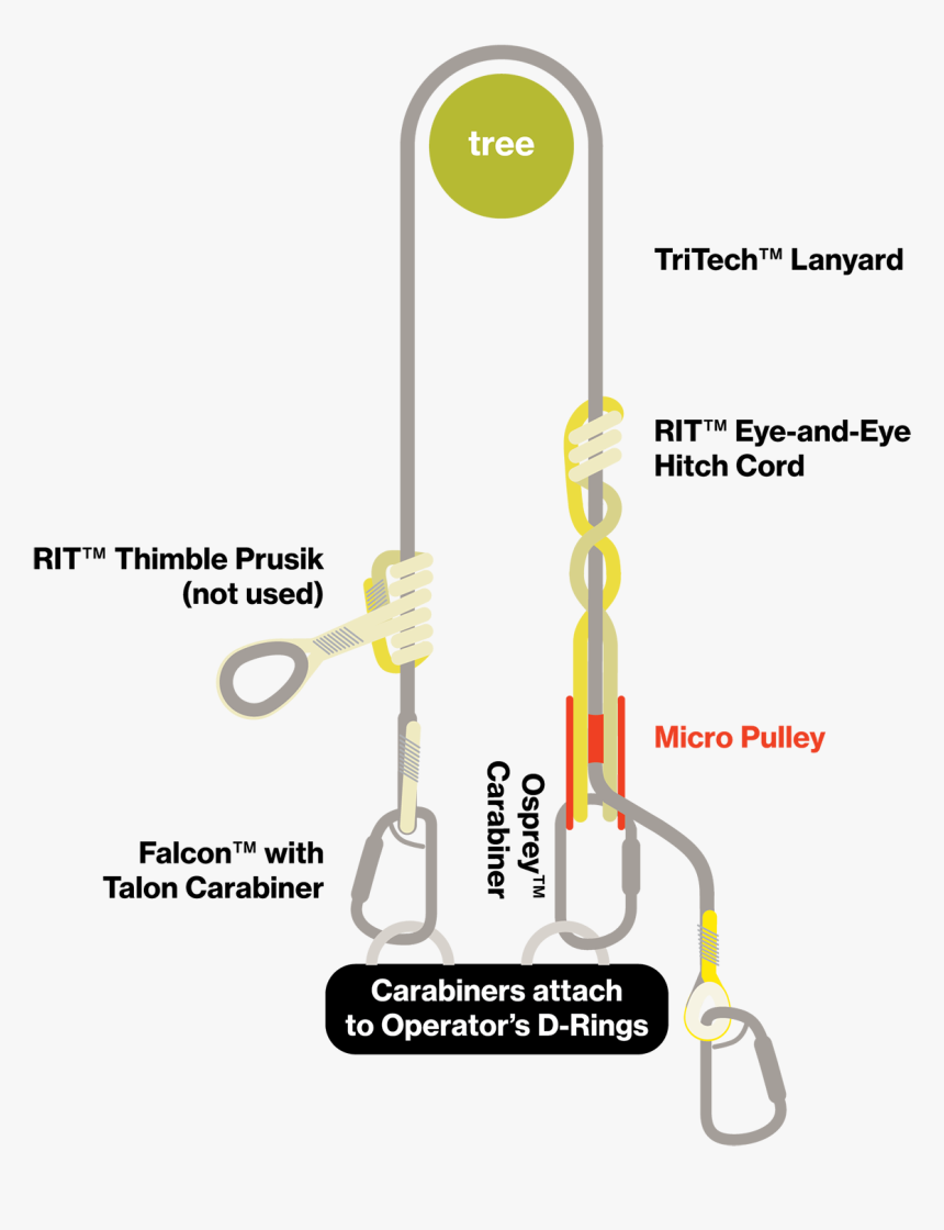 Up Lanyard Illustrations-02 - Arborist Work Positioning Lanyard, HD Png Download, Free Download