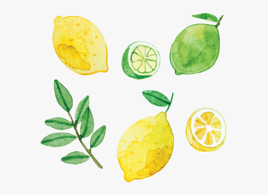 Artist Series Stickers - Lime And Lemon Stickers Png, Transparent Png, Free Download