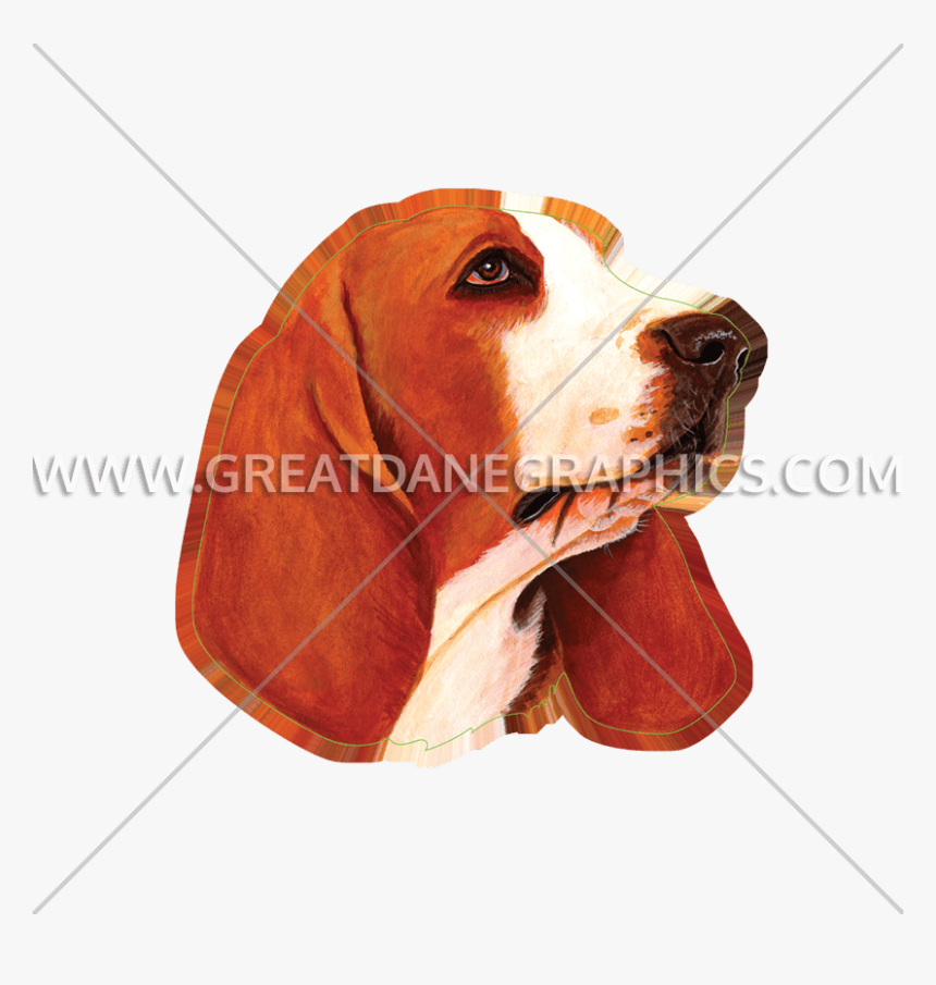 Transparent Pekingese Clipart - Beagle-harrier, HD Png Download, Free Download