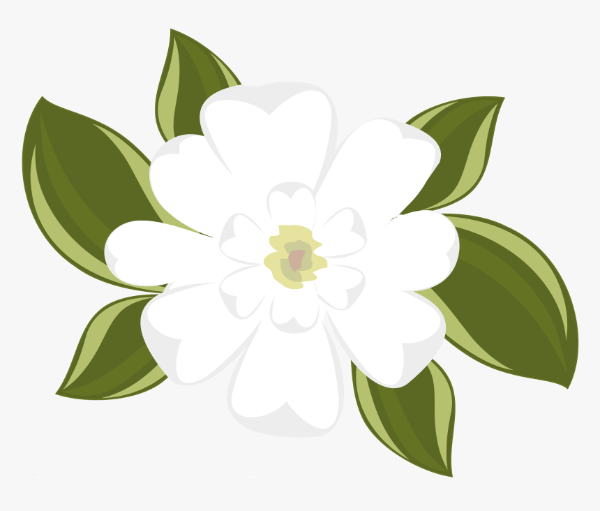 Southern Magnolia Clip Art, HD Png Download, Free Download