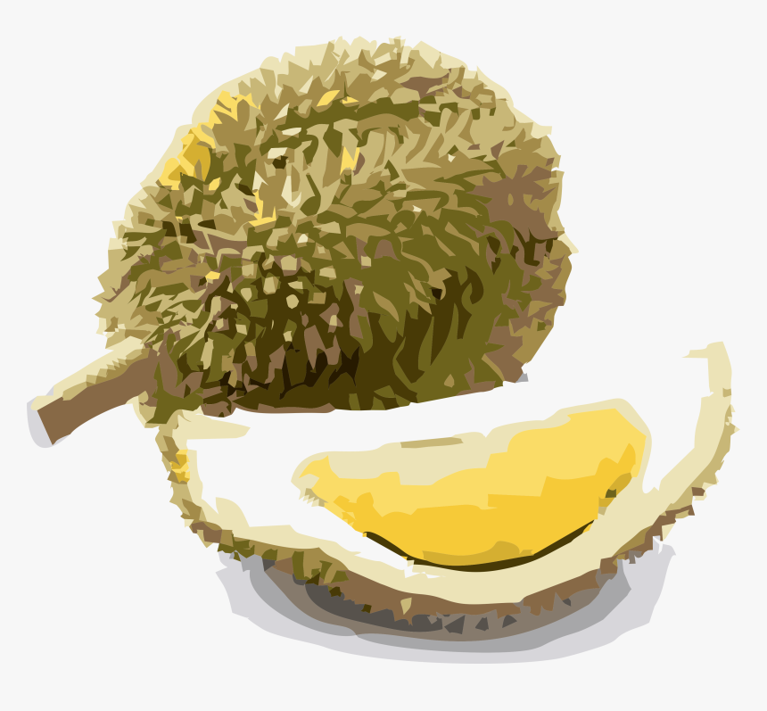 Monthong Durian, HD Png Download, Free Download