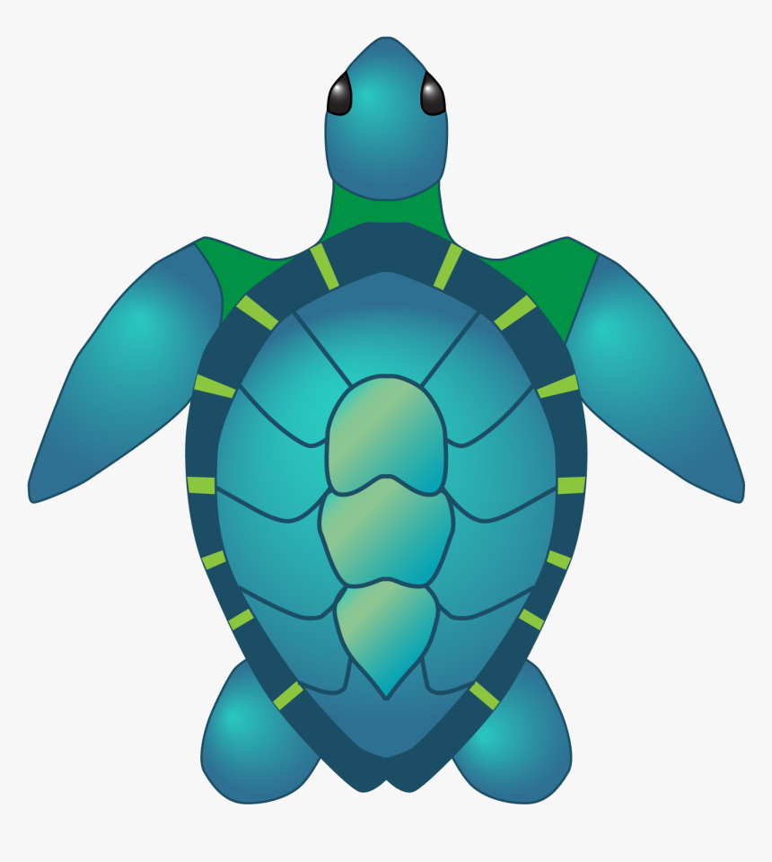 Sea Turtle Hires - Cartoon Transparent Sea Turtle, HD Png Download, Free Download