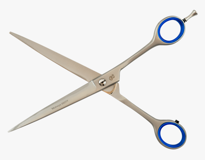 Scissors, HD Png Download, Free Download