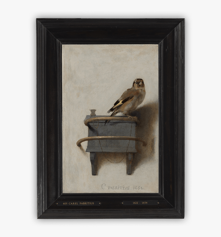 Goldfinch A Real Story, HD Png Download, Free Download