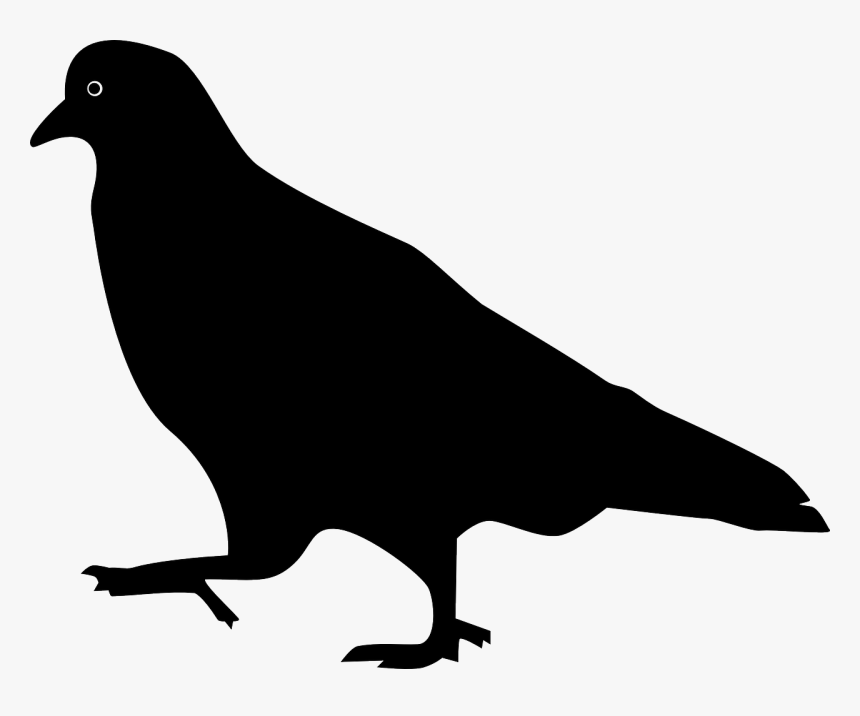 Bird, Pigeon, Silhouette, Stepping, Walking - Pigeon Png Silhouette, Transparent Png, Free Download