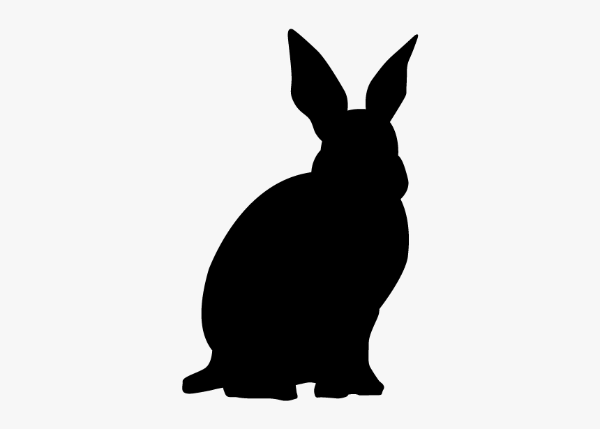 Domestic Rabbit, HD Png Download, Free Download