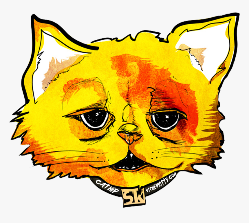 Sk Tshirt Solofc - Catnip, HD Png Download, Free Download