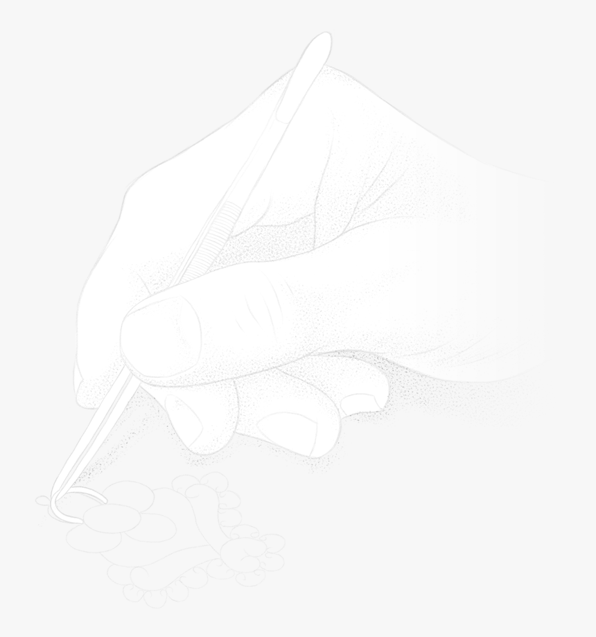 Drawing, HD Png Download, Free Download