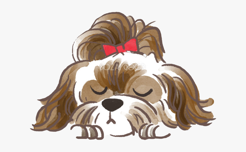 Shih Tzu Png Picture - Löwchen, Transparent Png, Free Download