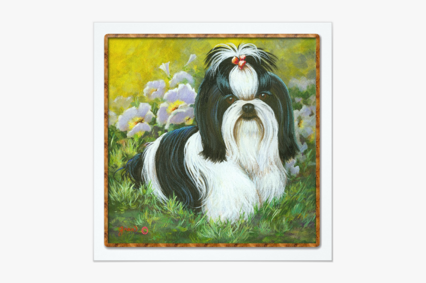 Puppy Clip Apso - Black And White Shih Tzus, HD Png Download, Free Download