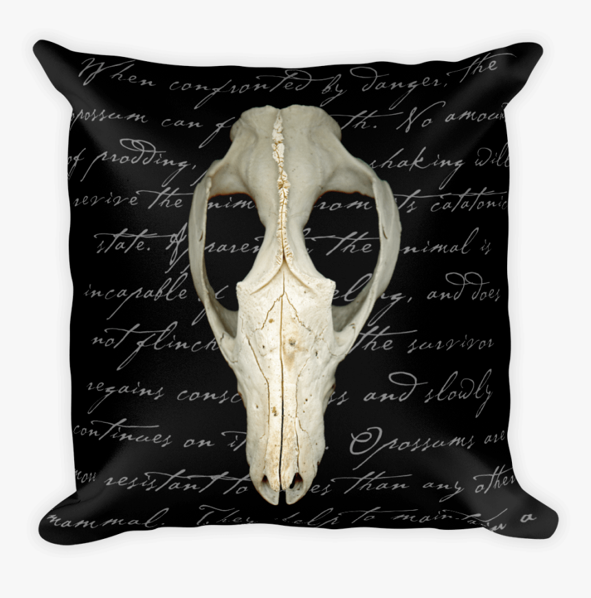 Throw Pillow, HD Png Download, Free Download