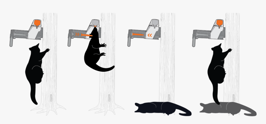 How Our Possum Trap Works - A12 Possum Trap, HD Png Download, Free Download