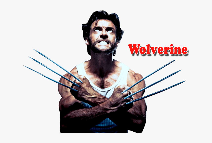 Wolverine Png Transparent Images - X Men Wolverine Png, Png Download, Free Download