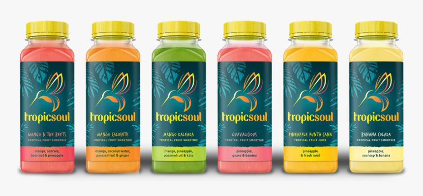 Tropicsoul Lineup Final Sm - Plastic Bottle, HD Png Download, Free Download