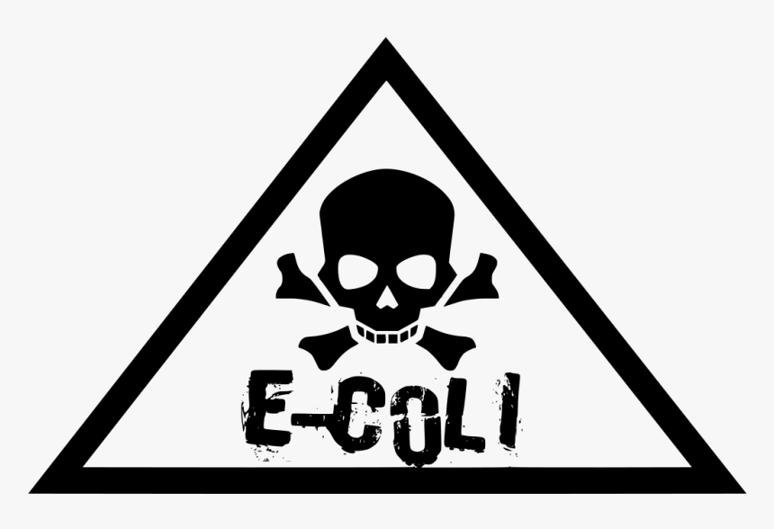 Risk Factors Of E Coli, HD Png Download, Free Download