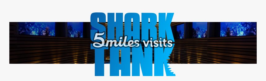 Members Of The 5miles Team Join The Set Of Shark Tank - Poster, HD Png Download, Free Download