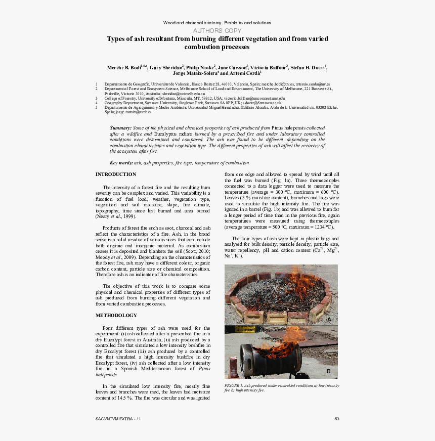 Document, HD Png Download, Free Download