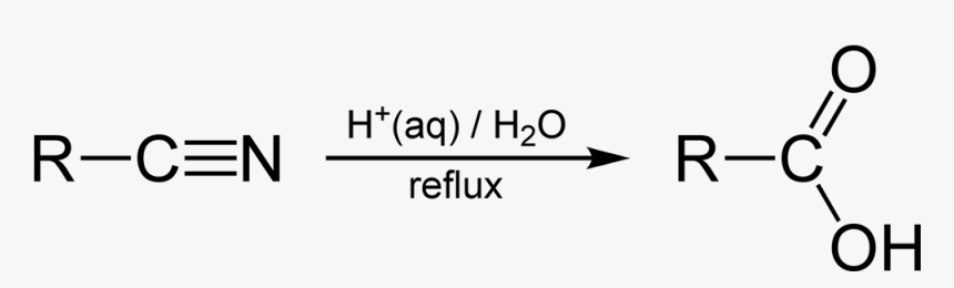 Nitrile Hydrolysis Full Summary - Nitrile Of Hydrolysis, HD Png Download, Free Download