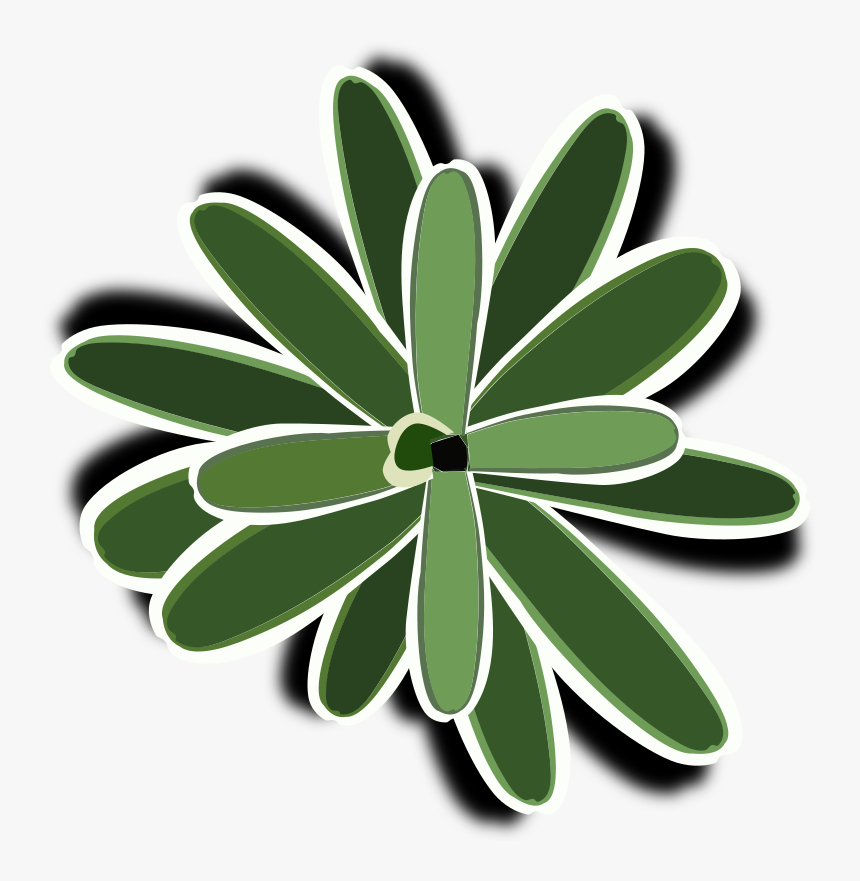 Bromelia-09 - Bromeliads, HD Png Download, Free Download