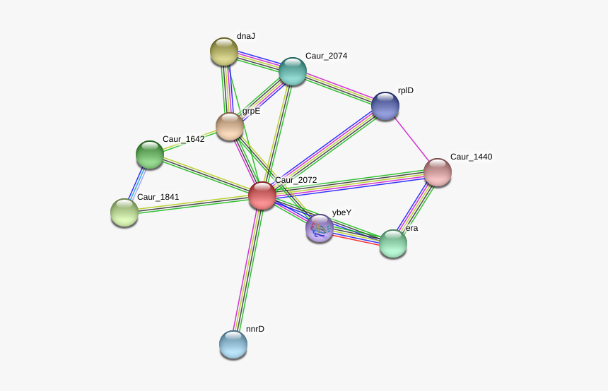 Caur 2072 Protein - Circle, HD Png Download, Free Download