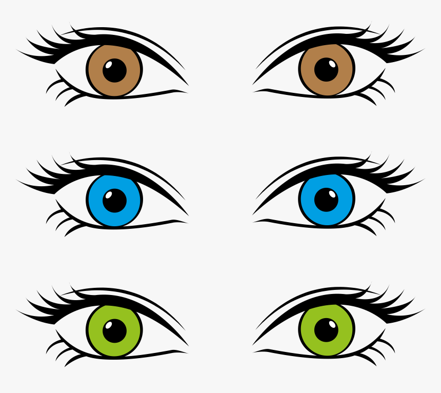 Eyes Big Image Png - Eye Color Clipart, Transparent Png, Free Download