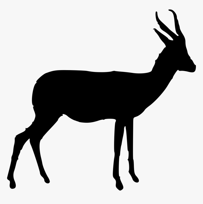 Thumb Image - Springbok Clipart Png, Transparent Png, Free Download