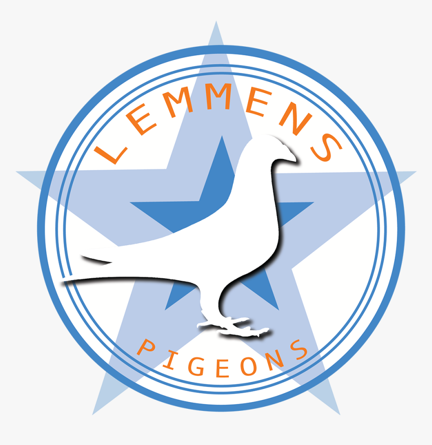 Ulrich Lemmens Pigeons - Circle, HD Png Download, Free Download