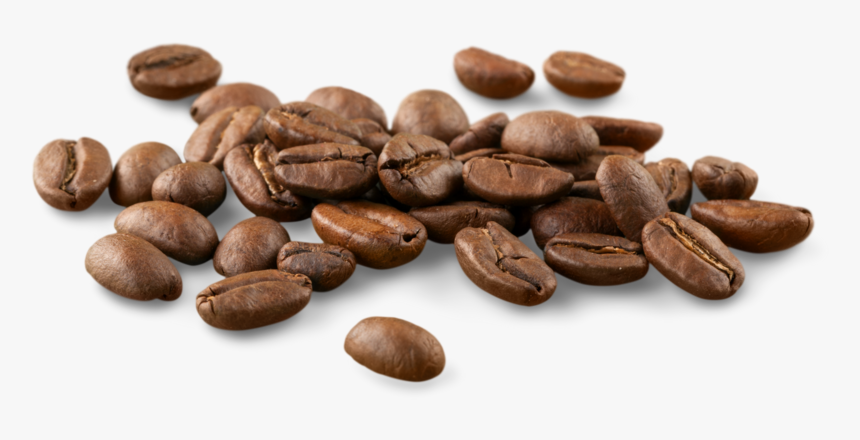 Coffee Seeds Png, Transparent Png, Free Download