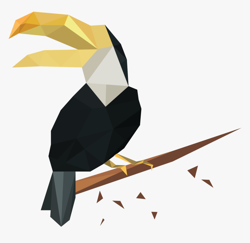 Toucan, HD Png Download, Free Download