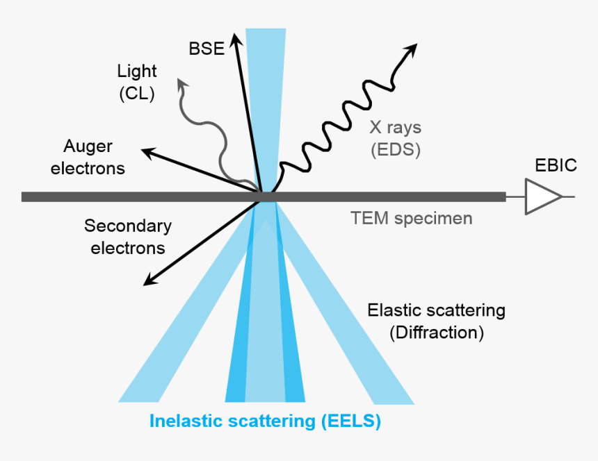 Eels Inelastically Scattered Electrons, HD Png Download, Free Download