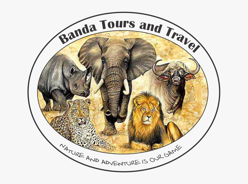 Banda Tours And Travel - Drawings Of The Big Five, HD Png Download, Free Download