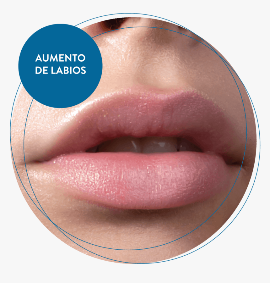 Aumento De Labios - Lip Care, HD Png Download, Free Download