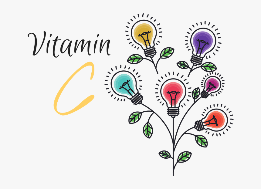 Transparent Vitamins Clip Art - Doll Shop, HD Png Download, Free Download