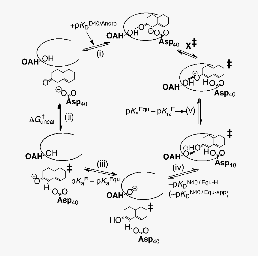 Diagram, HD Png Download, Free Download