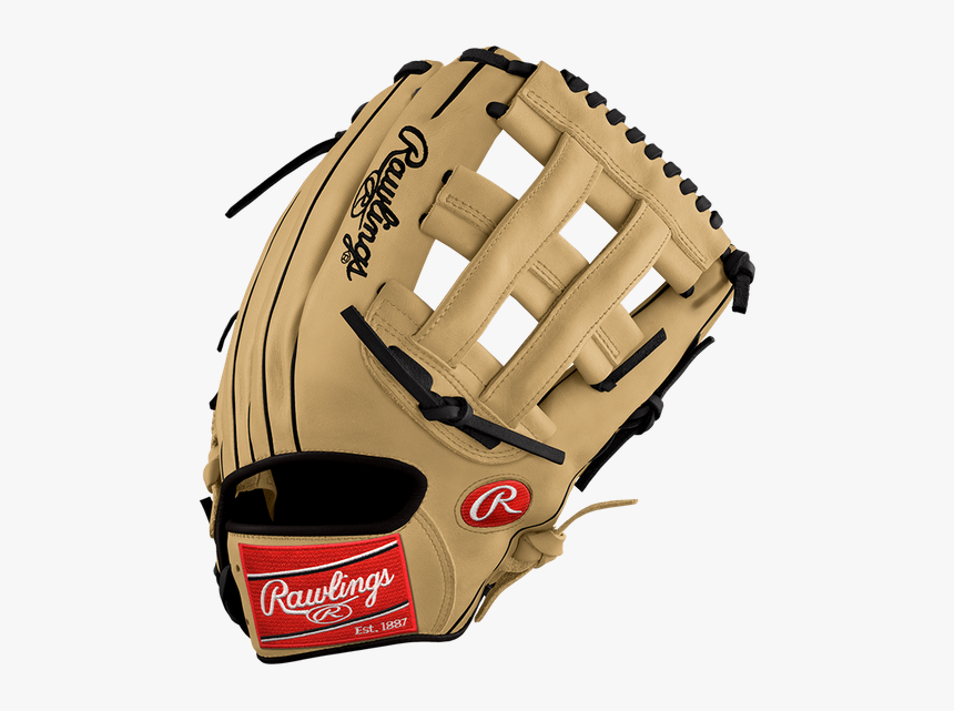 palm pad rawlings