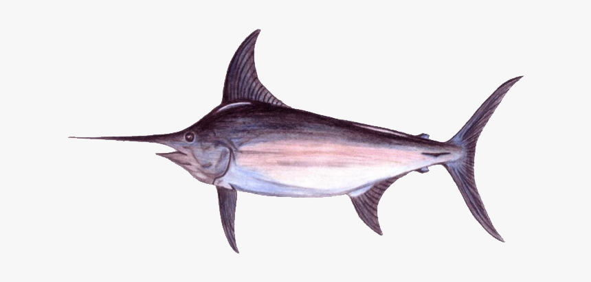 Real Good Fish - Atlantic Blue Marlin, HD Png Download, Free Download