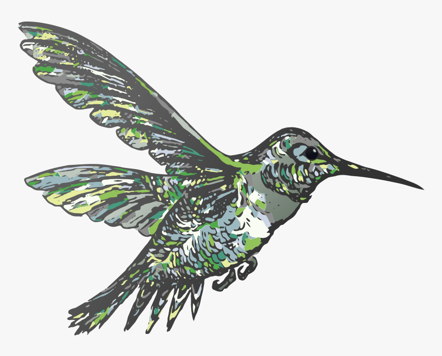 Hummingbird Clipart Flying - Clip Art, HD Png Download, Free Download