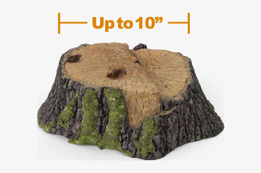 Tree Stump, HD Png Download, Free Download