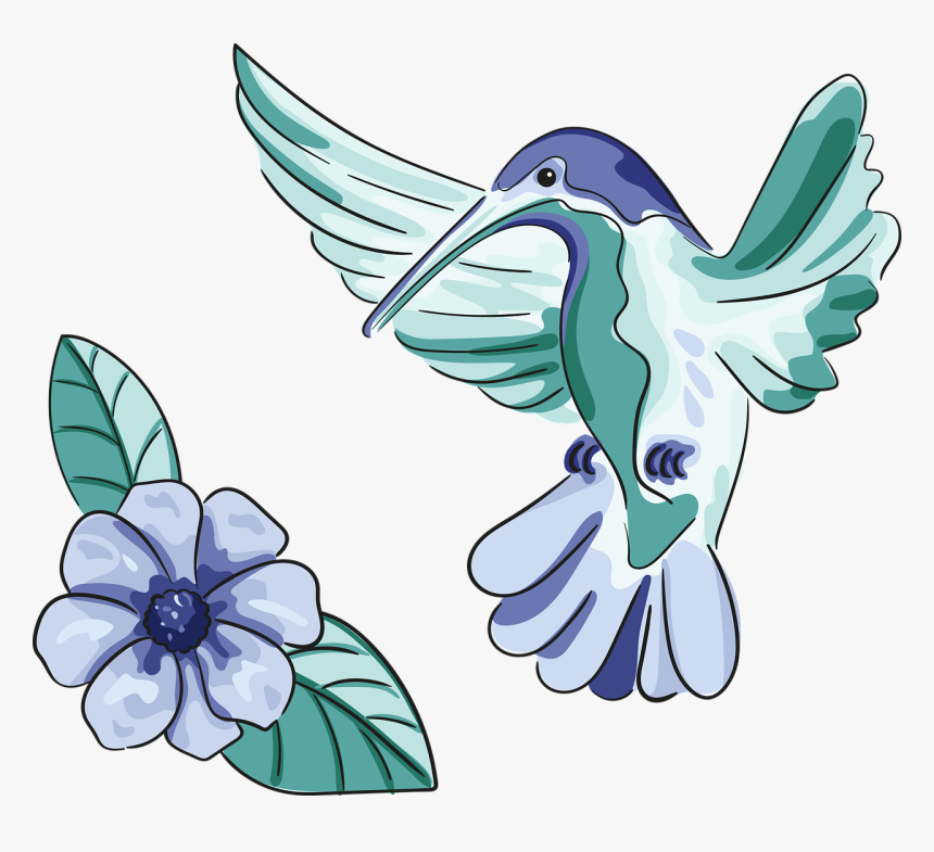 Colibri En Flor Png, Transparent Png, Free Download