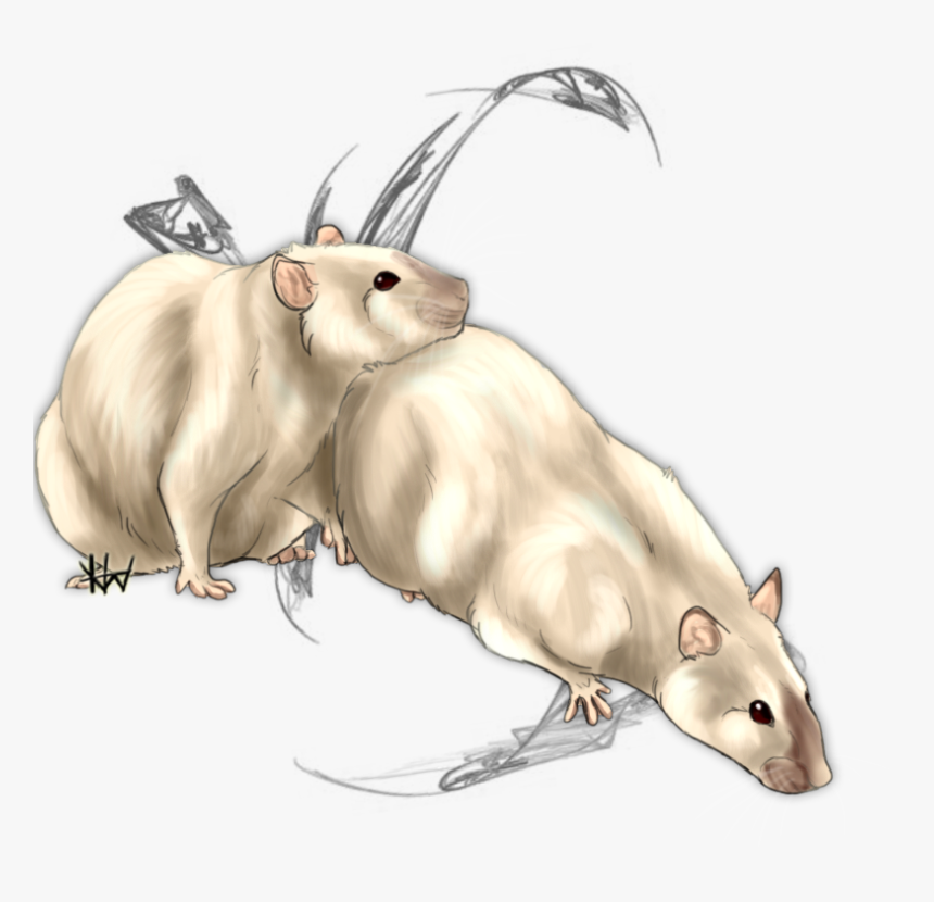 Wheatley And Booger - Rat, HD Png Download, Free Download