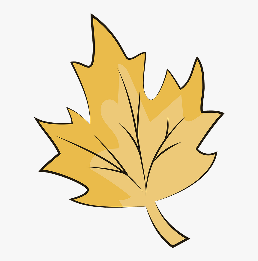 Yellow Maple Leaf Clipart, HD Png Download, Free Download