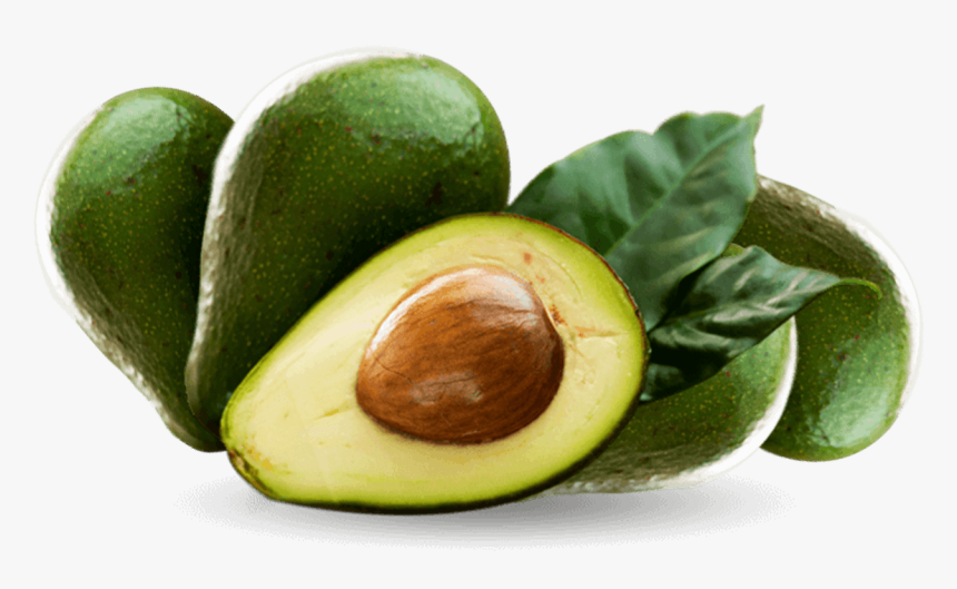 Avocado, HD Png Download, Free Download